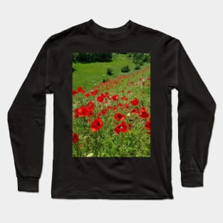 Poppy flower field, poppies mountain view, oil paint effect Long Sleeve T-Shirt